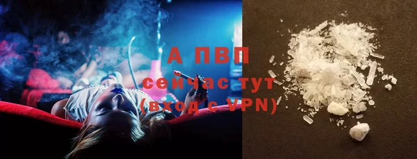 PSILOCYBIN Беломорск