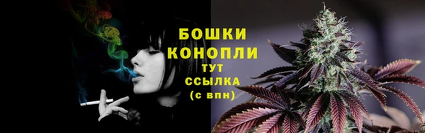 меф Белокуриха