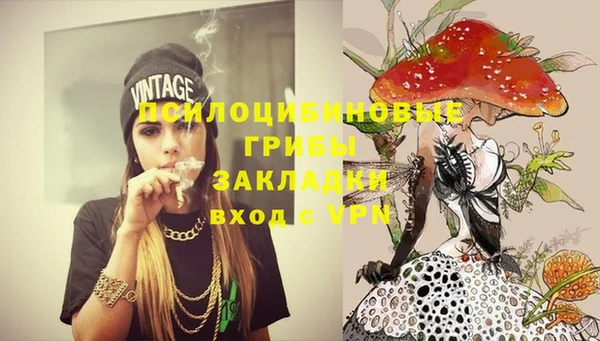 меф Белокуриха