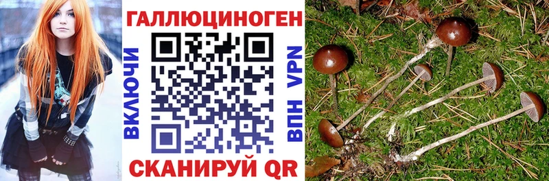 Галлюциногенные грибы мицелий  Вятские Поляны 
