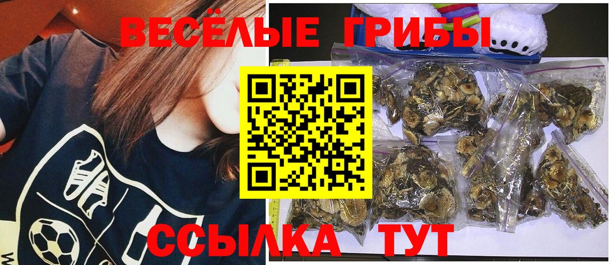 Вятские Поляны  Псилоцибиновые грибы Magic Shrooms  Вход с VPN  закладки  Псилоцибиновые грибы GOLDEN TEACHER 