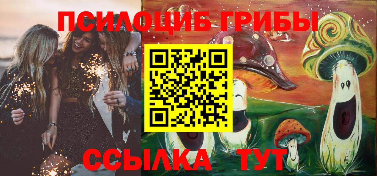 Псилоцибиновые грибы мухоморы  хочу наркоту  Псилоцибиновые грибы ЛСД  Вятские Поляны 