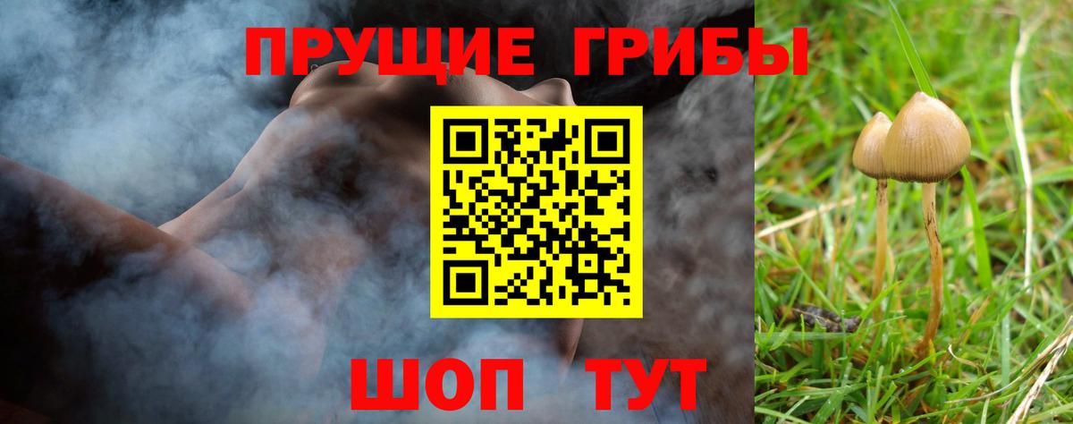 Галлюциногенные грибы мухоморы Вятские Поляны