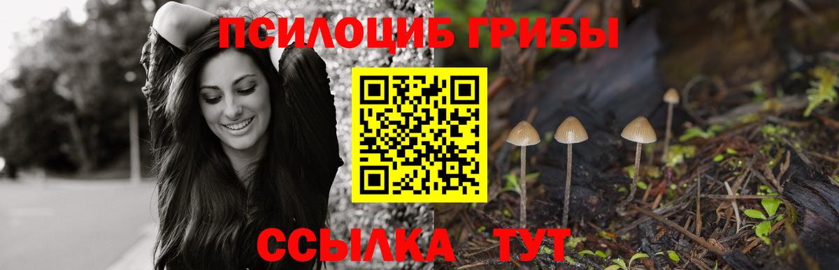 Псилоцибиновые грибы Magic Shrooms Вятские Поляны